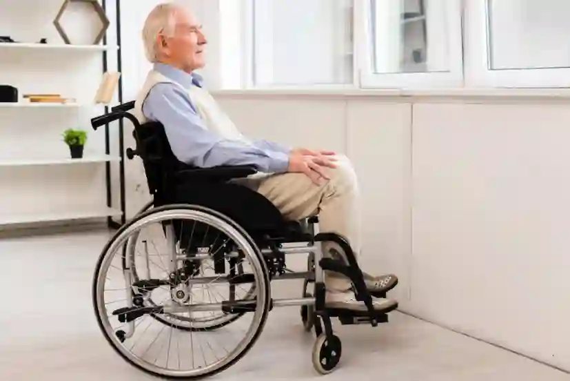 Elderly Man in Wheelchair by the Window