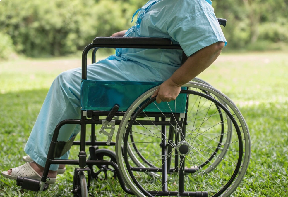 Person in a Manual Wheelchair Enjoying Outdoor Grassland Scenery