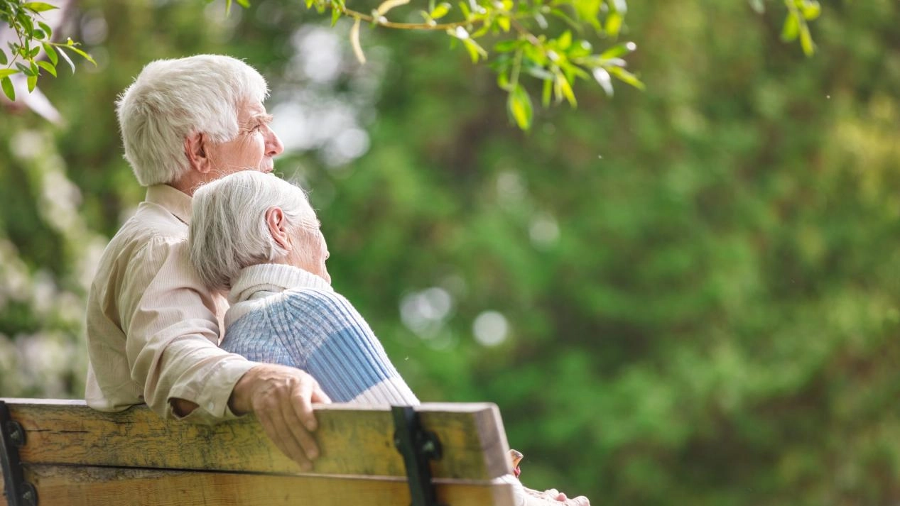 Bath Chair Market Boom: Unlock the Silver Economy for Age-Friendly Care